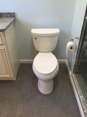Bathroom Custom Toilet